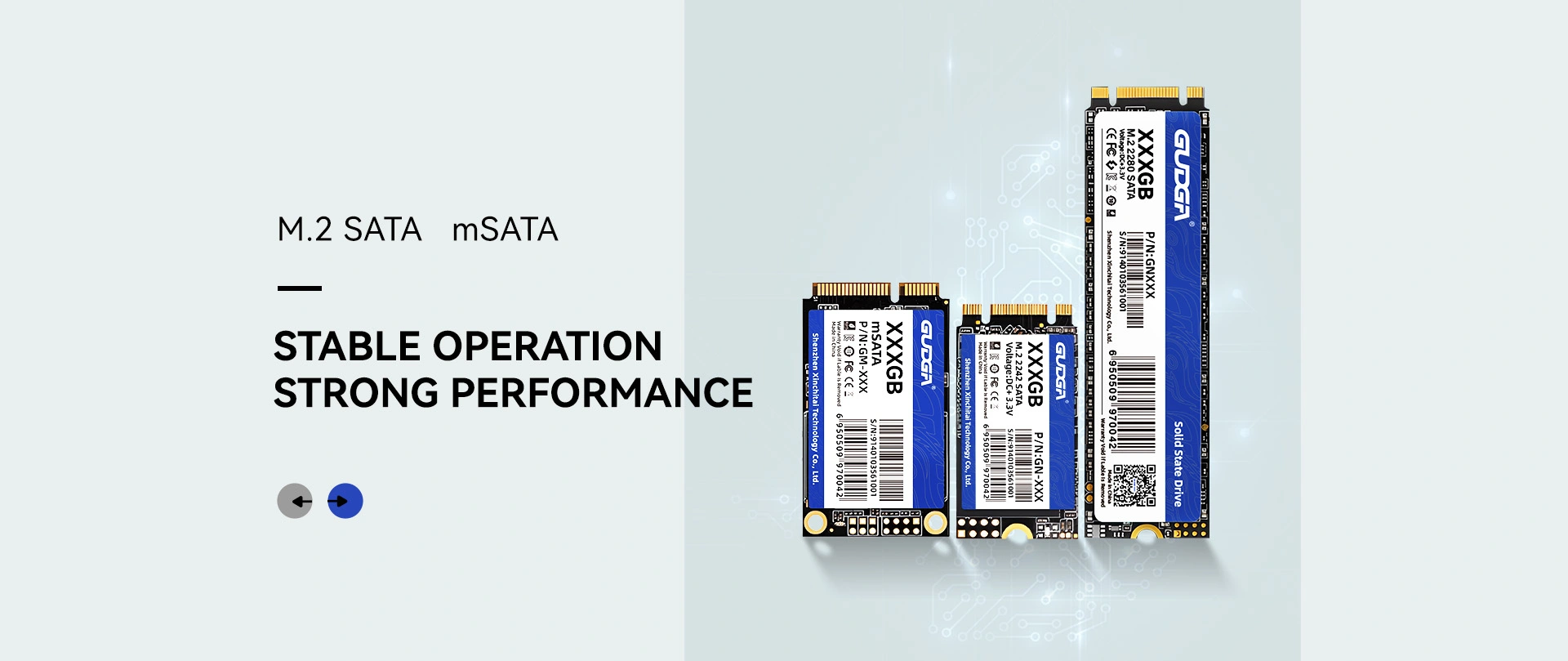 चीन डिस्काउंट M.2 SATA SSD निर्माता