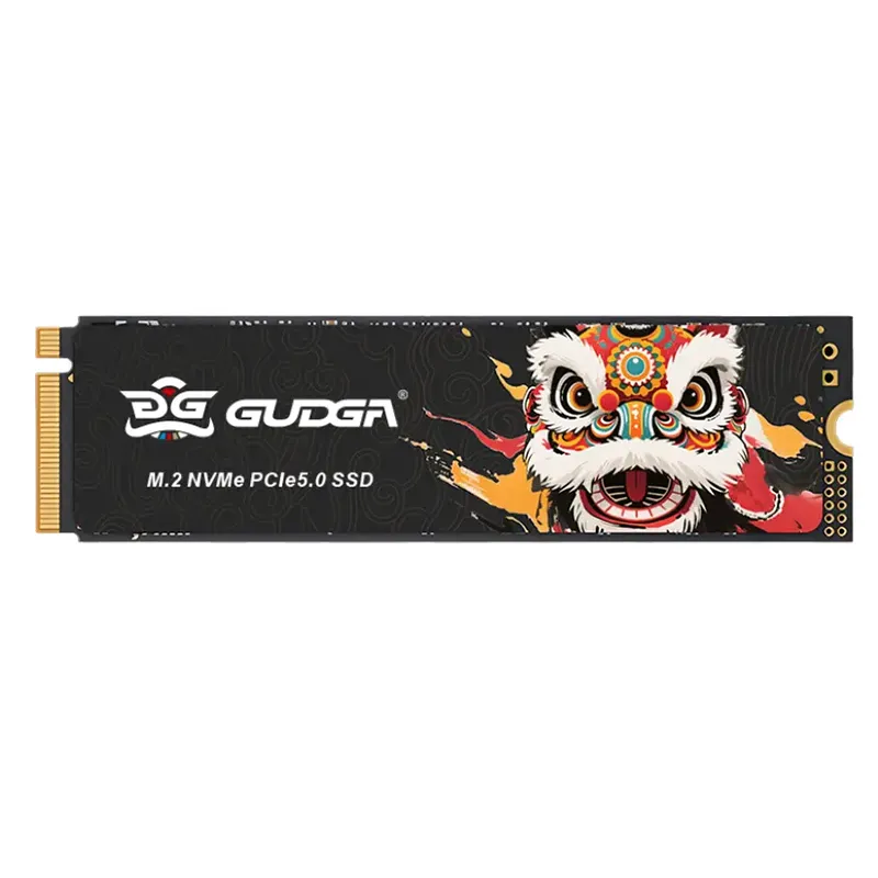 उच्च गति NVME PICE 5.0 14500/10000 आंतरिक SSD